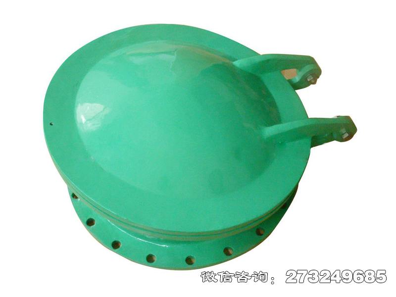 河源耐腐蚀管道玻璃钢拍门