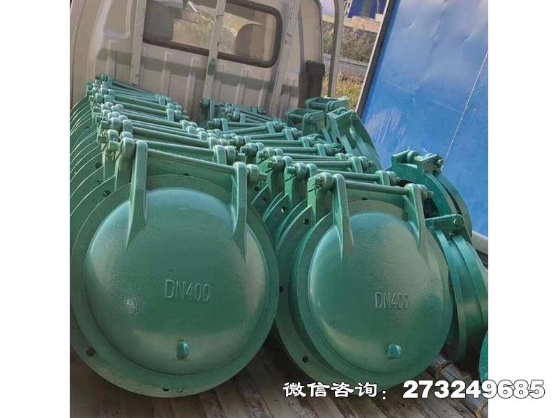 通河县污水管玻璃钢拍门