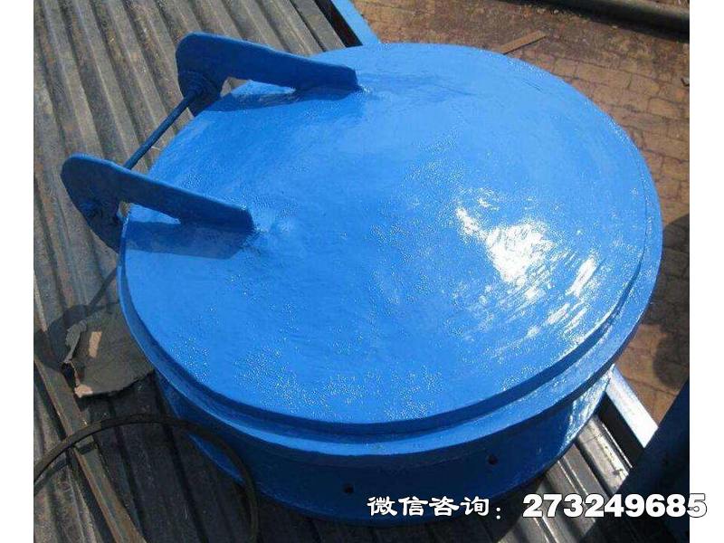 通河县污水管用玻璃钢拍门