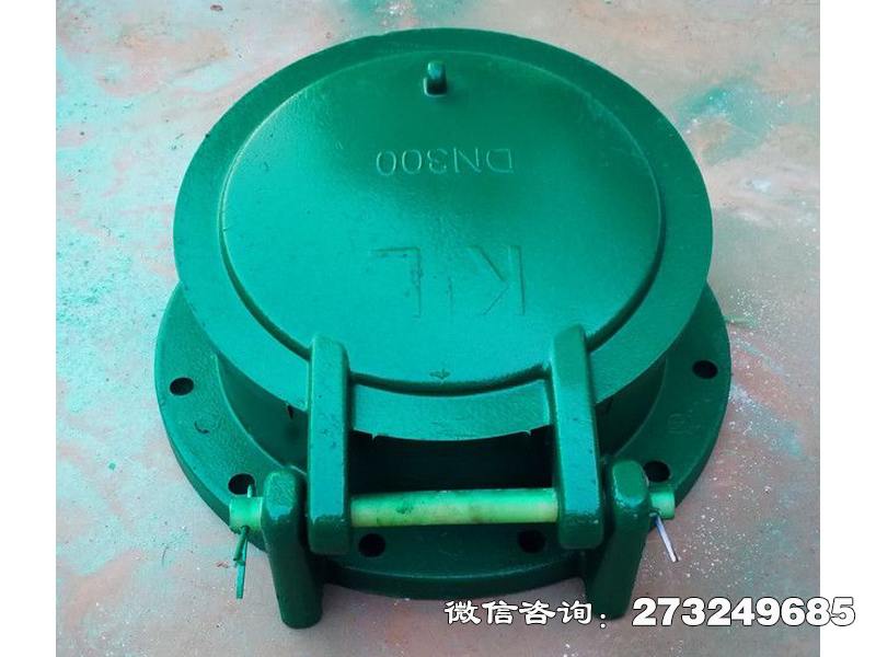 谷城县dn300复合材料拍门
