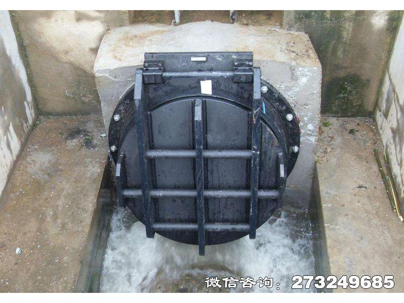 通河县钢制水渠拍门