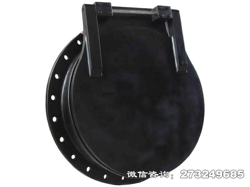 江山pgz铸铁拍门